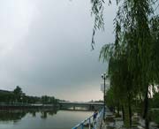 鱼台今天天气
