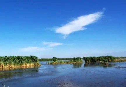 博湖后天天气