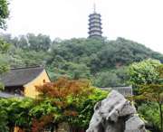 蒙城后天天气