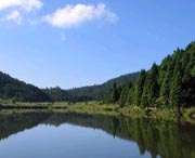 凤阳今天天气