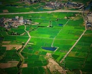 连城后天天气