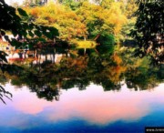 花溪后天天气