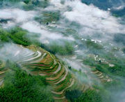 元阳明天天气